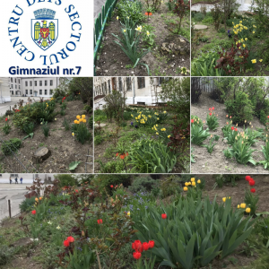 Curățenia generală de primăvară