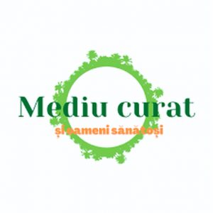 Procesul de organizare și desfășurare a lucrărilor de salubrizare și amenajare a teritoriului Gimnaziului nr.7 din sectorul Centru
