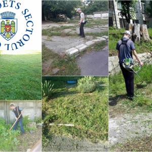 Procesul de salubrizare și cosire a ierbii de pe teritoriul aferent/adiacent Gimnaziului nr.7 din sectorul Centru
